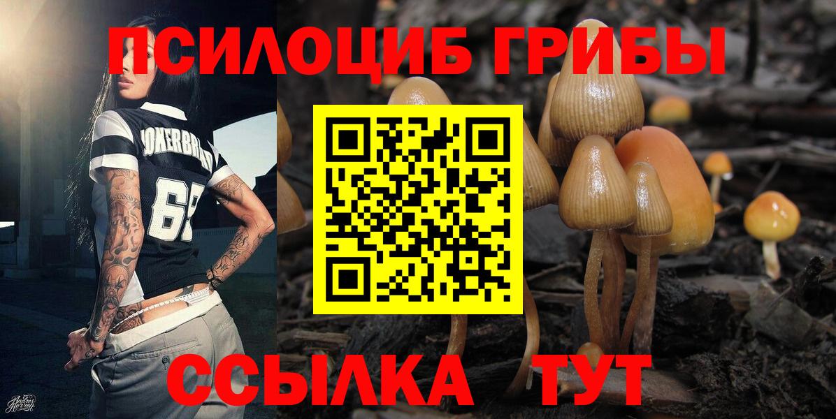 Псилоцибиновые грибы мухоморы  Вход с VPN  Псилоцибиновые грибы Cubensis  Ессентуки 